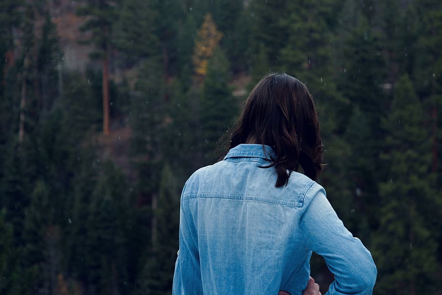 woman facing pine trees, rear view, one person, forest, leisure activity HD wallpaper
