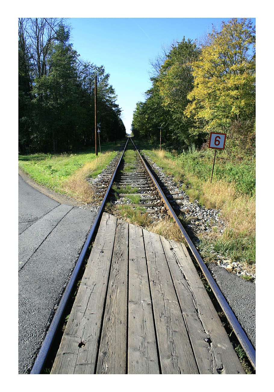 train, rail, forest, street, endless, plant, track, rail transportation HD wallpaper