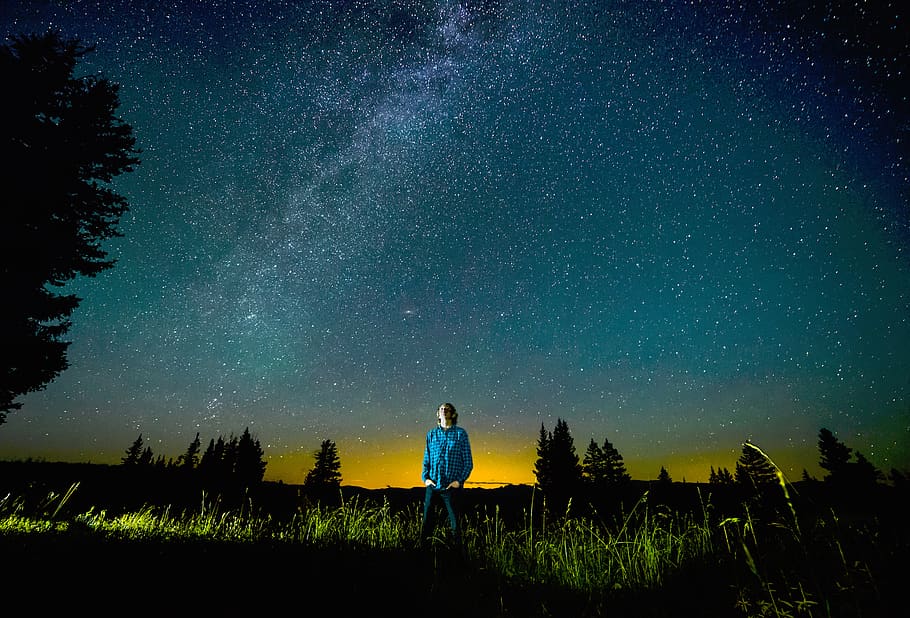 nature, trees, grass, sky, night, stars, people, man, guy, star - space HD wallpaper