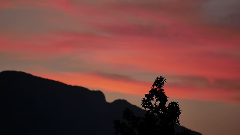 hdwallpaper, landscape, background, mountains, trees, nature HD wallpaper