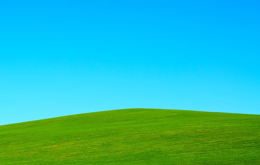 green hill under blue sky, nature, outdoors, plant, grass, field HD wallpaper