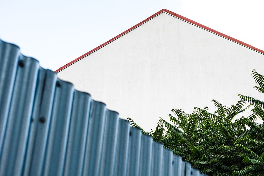 gray galvanized sheet, plant, flora, fern, building, innsbruck HD wallpaper