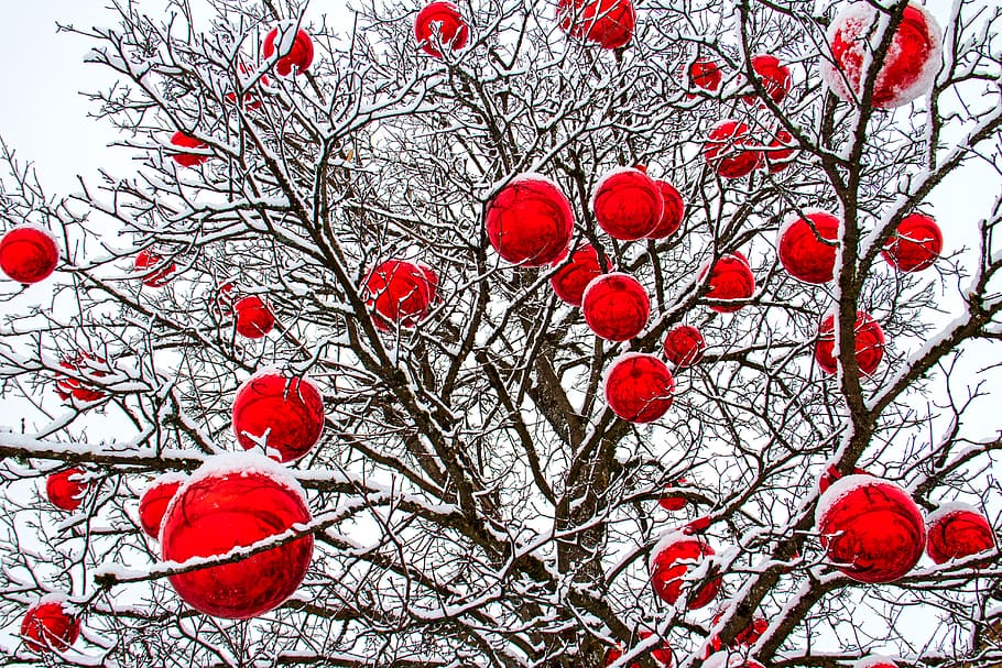 winter, tree, christmas, balls, red, wintry, cold, nature, snow HD wallpaper