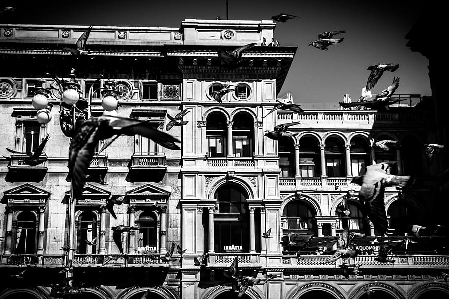 italy, milan, architecture, building exterior, built structure HD wallpaper