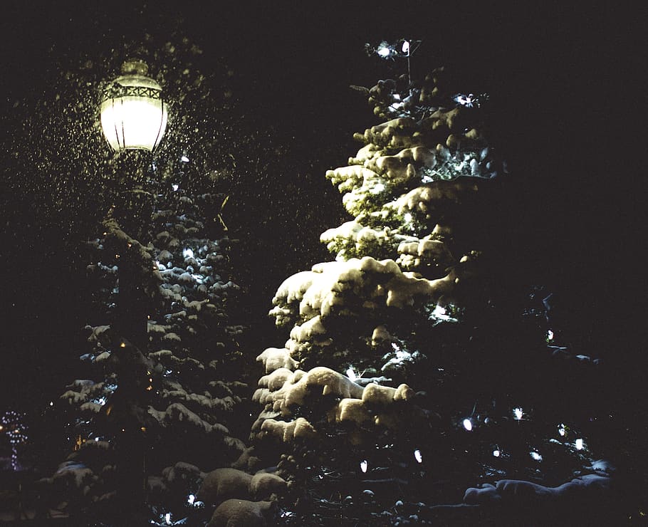 canada, goderich, night, snow, lamp, trees, illuminated, lighting equipment HD wallpaper