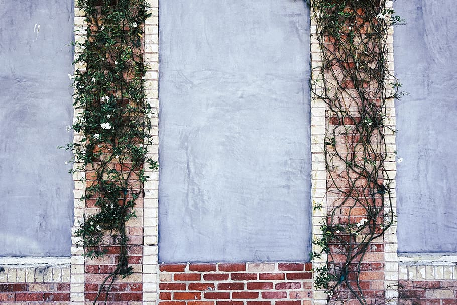 red, brick, vines, architecture, built structure, building exterior HD wallpaper