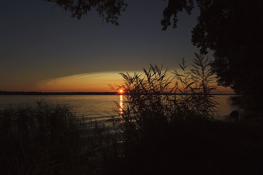 sunset, dawn, twilight, tree, evening, sky, nature, fragment HD wallpaper