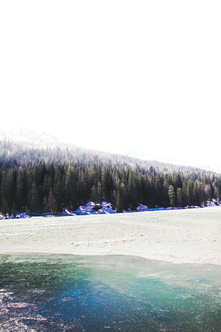 forest, trees, mountains, mountian, ice, snow, frozen, blue HD wallpaper