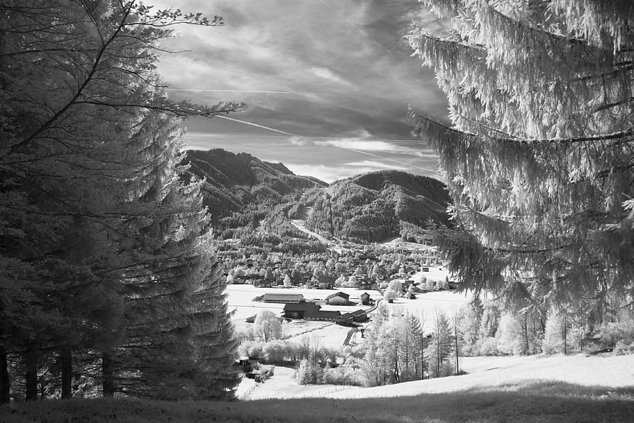 landscape photography of mountains, forest, tree, monochrome HD wallpaper