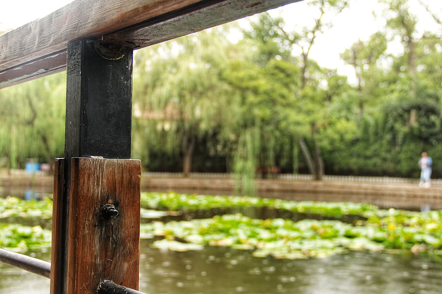 water, focus on foreground, wood - material, nature, plant HD wallpaper