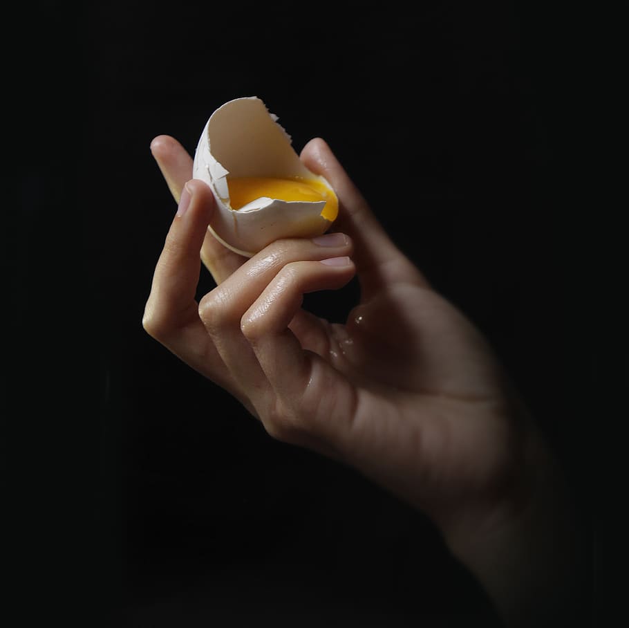 person holding egg, black background, human hand, human body part HD wallpaper