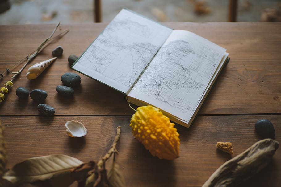 White Book Page, composition, desk, fruit, indoors, map, pebbles HD wallpaper