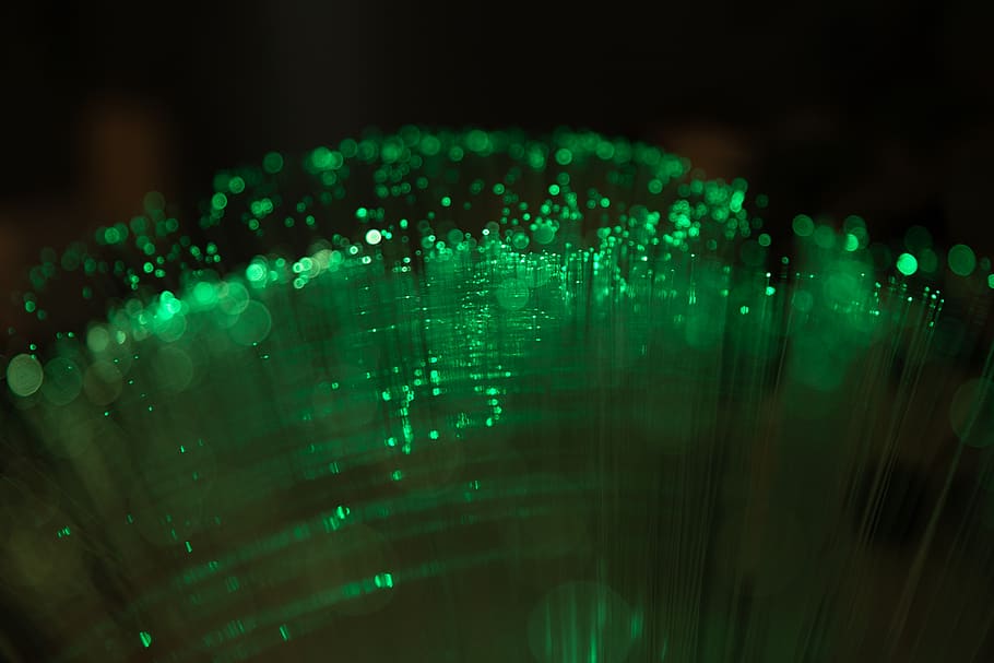 green and black LED light, animal, invertebrate, laser, insect HD wallpaper