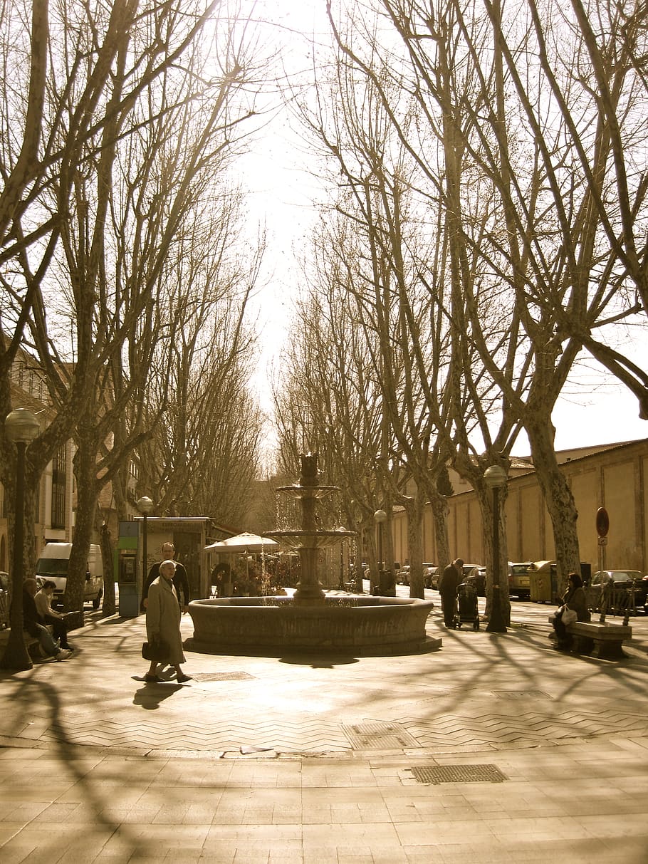 spain, palma, morning, elderly, city, woman, winter, stranger HD wallpaper