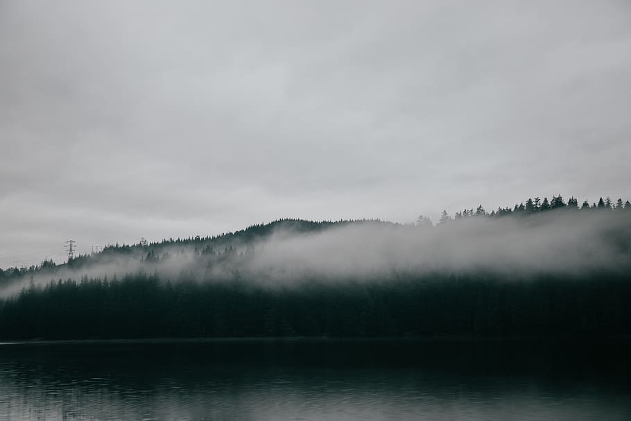 body of water under white cloudy sky, still, lake, forest, header