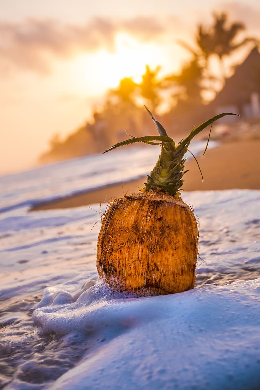 beach, sand, coconut, pineapple, exotic, wave, sunset, composition HD wallpaper