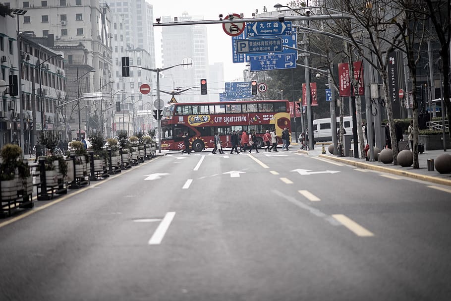 red bus on road, human, person, traffic light, tarmac, asphalt HD wallpaper