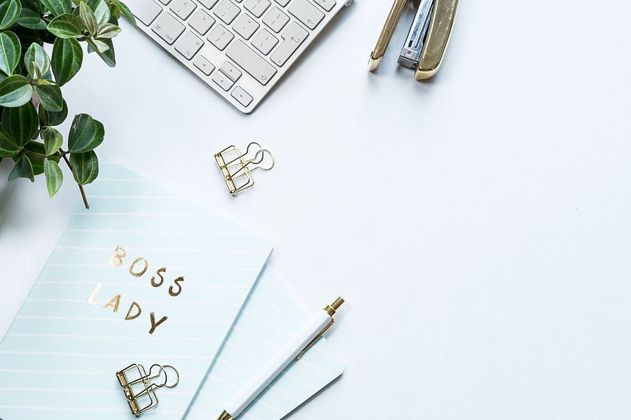 flat layout, white background, keyboard, plant, business, make HD wallpaper