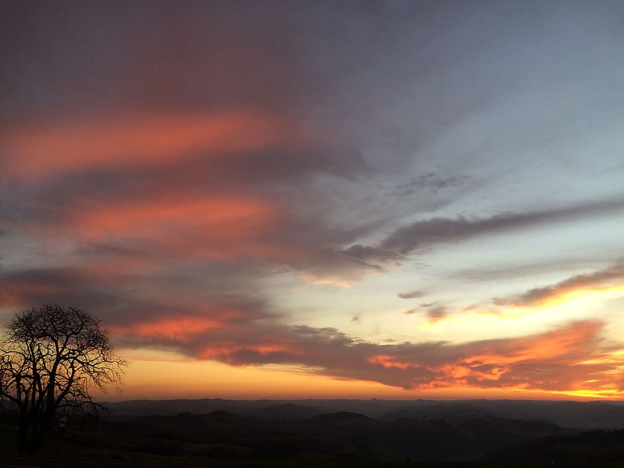 brazil, erechim, colors, light, sunset, tree, cloud - sky, scenics - nature HD wallpaper