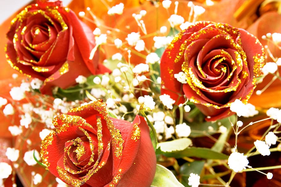 rose, red, stem, background, valentines, decoration, concept, HD wallpaper