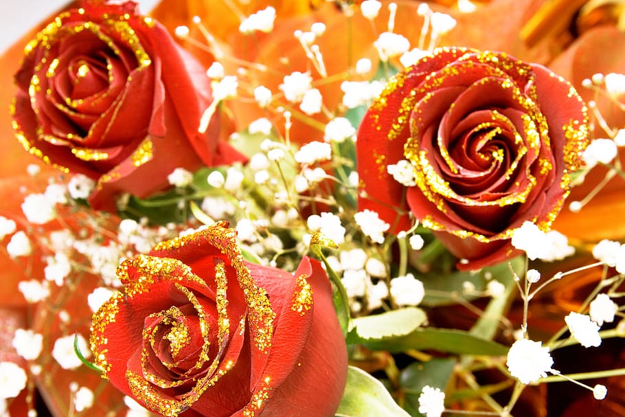 rose, red, stem, background, valentines, decoration, concept