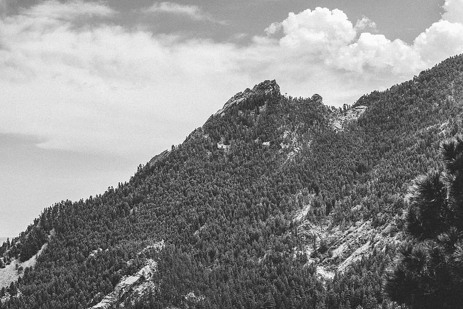 united states, boulder, trees, forest, colorado, mountain, sky HD wallpaper