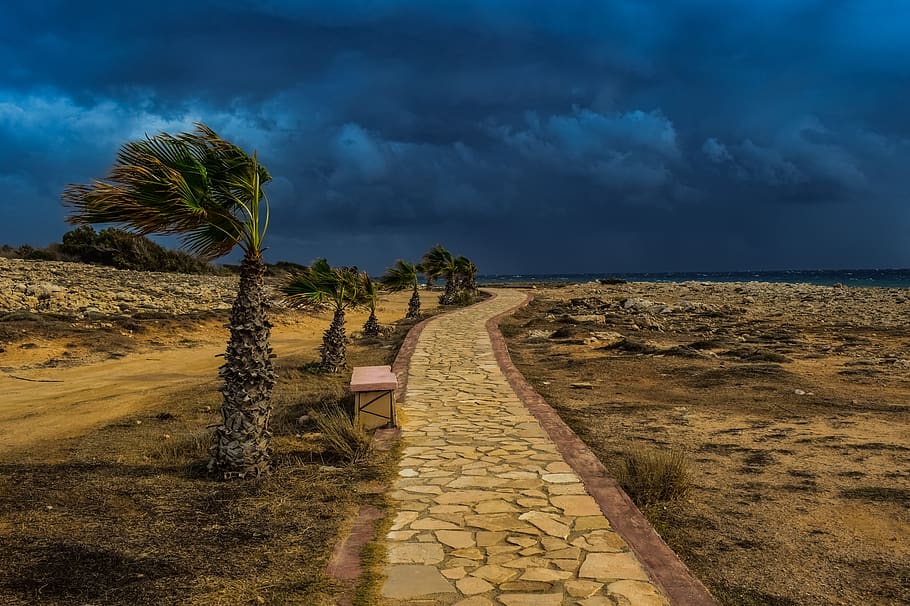 path, stone path, palm trees, storm, stormy weather, dark sky HD wallpaper