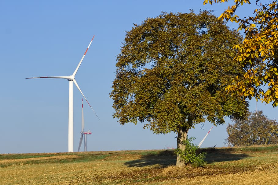 pinwheel, tree, wind energy, sky, landscape, nature, wind power HD wallpaper