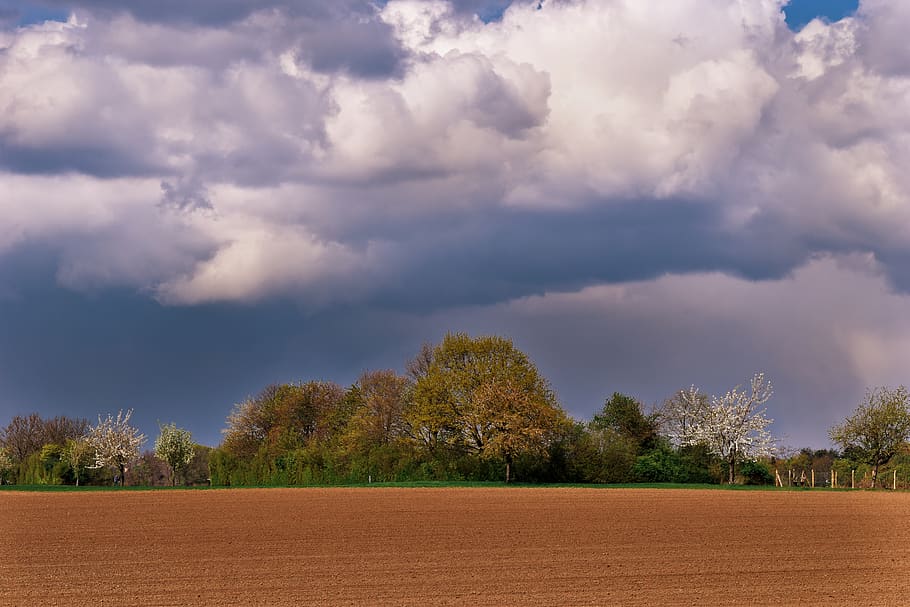 landscape, field, sky, nature, clouds, agriculture, forward, HD wallpaper