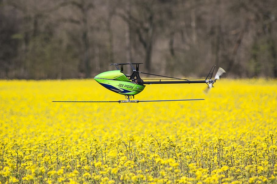model helicopter, voodoo 600, cornfield, yellow, flower, flowering plant HD wallpaper