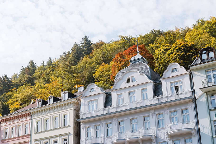 Tall hotels and traditional buildings on sunny street in Karlovy Vary HD wallpaper