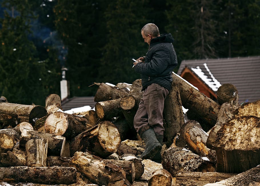 ukraine, dragobrat, trees, forest, wood, village, sitting, real people, HD wallpaper