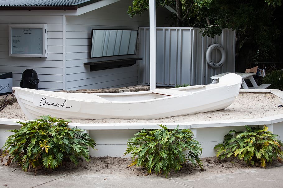 white canoe, plant, jar, vase, pottery, flora, potted plant, boat HD wallpaper