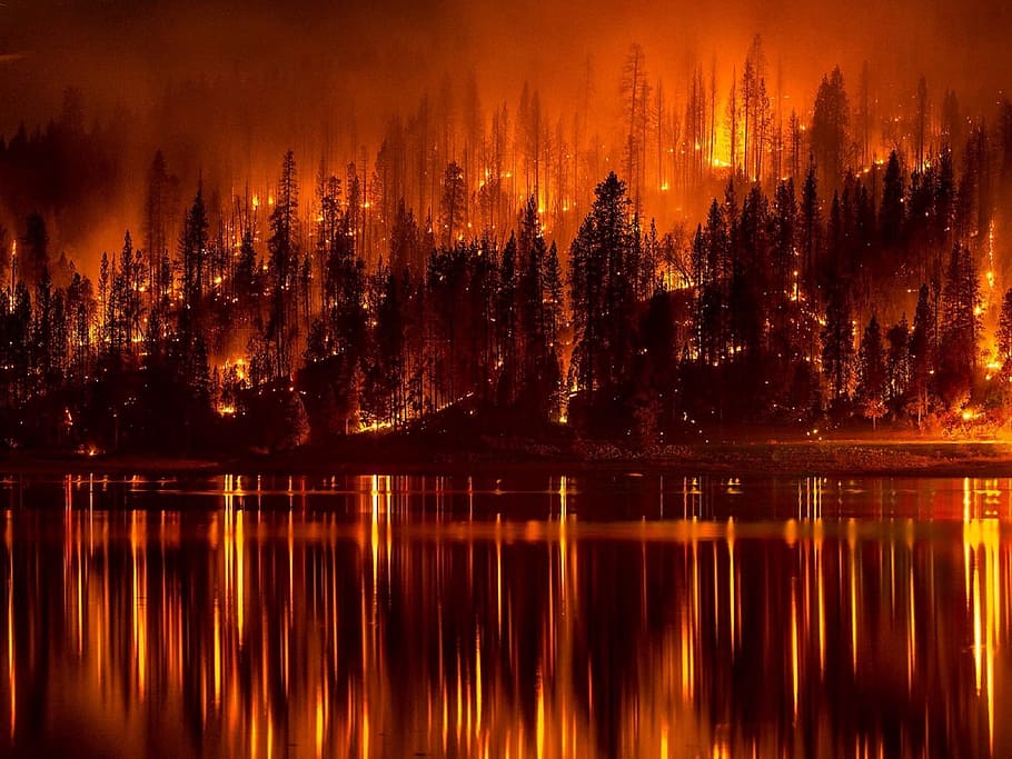 fire, forest, burning, river, reflection, hot, water, lake HD wallpaper
