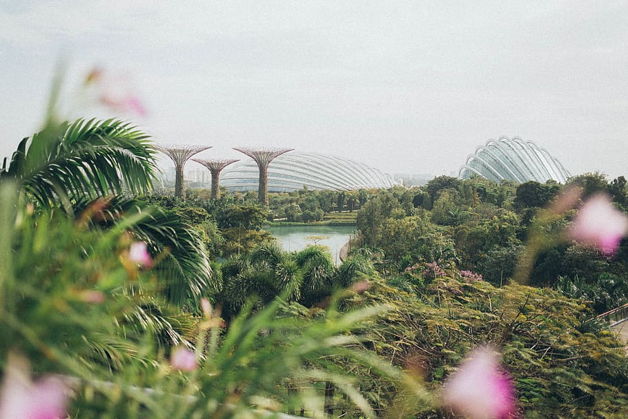 Marina Bay Sands, Singapore, architecture, beautiful, cloud forest HD wallpaper