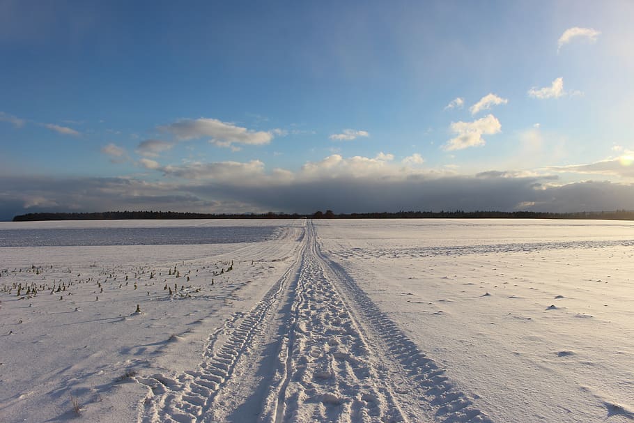 snow, landscape, path, winter, forest, sky, cloud - sky, cold temperature HD wallpaper