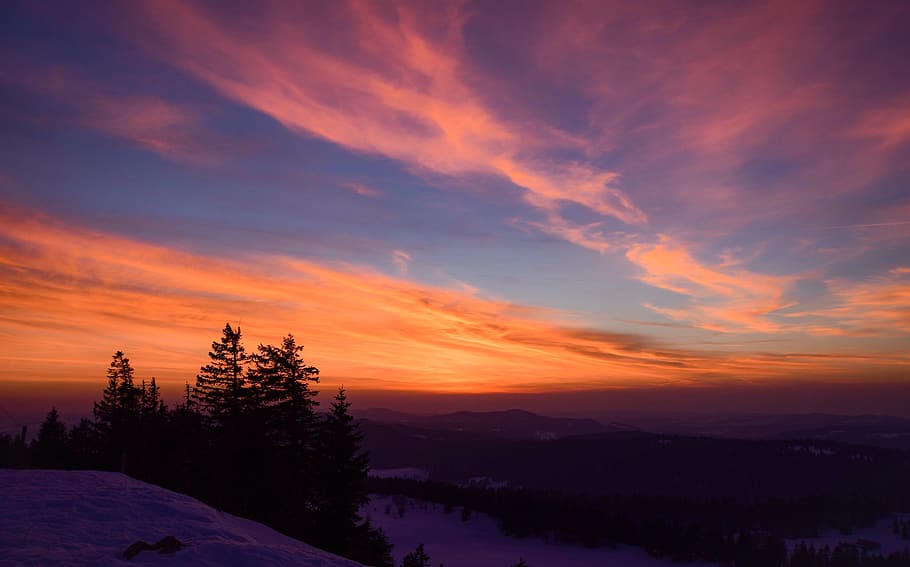 sunset, sky, trees, forest, winter, snow, landscape, evening HD wallpaper