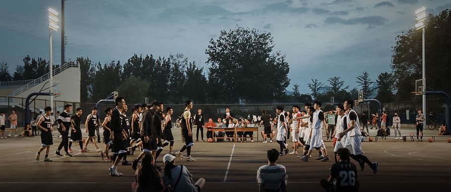 basketball, school, crowd, large group of people, real people HD wallpaper