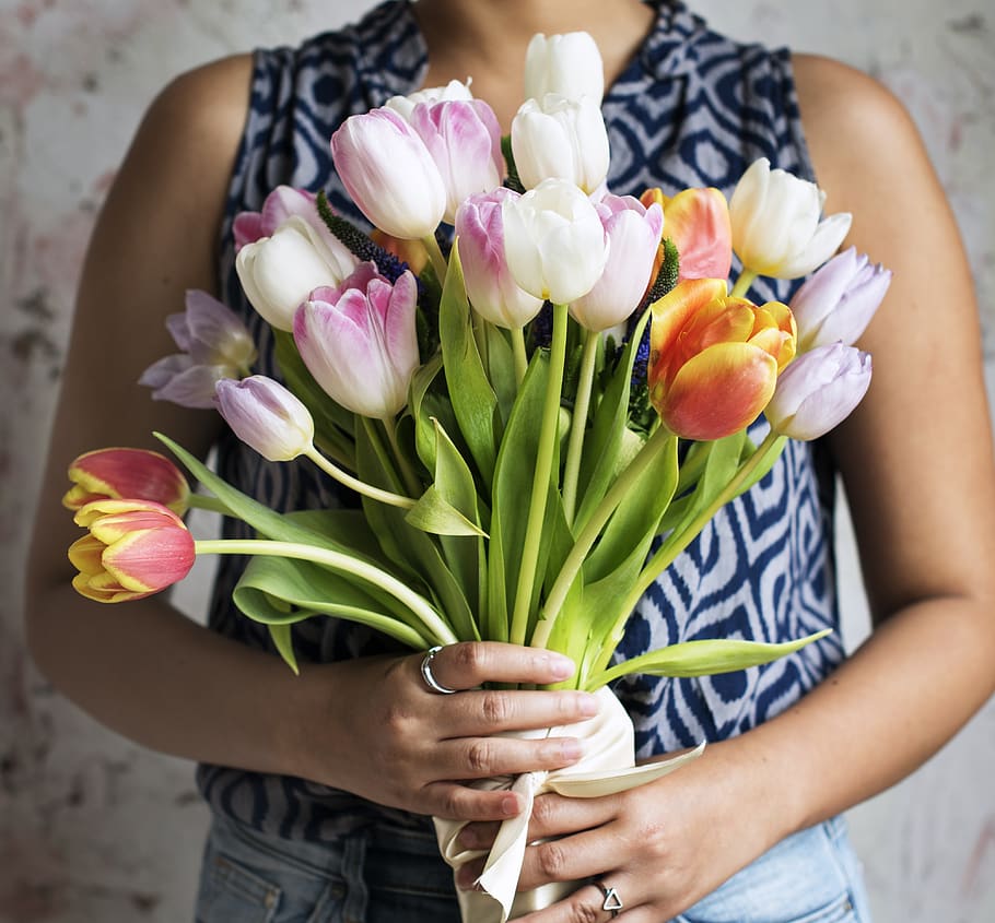 arrangement, attractive, beautiful, bloom, blooming, blossom HD wallpaper