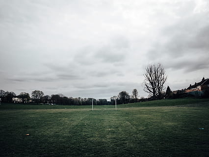 field-outdoors-grass-plant-thumbnail.jpg