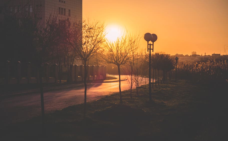 sunset, road, sky, street, architecture, building exterior HD wallpaper