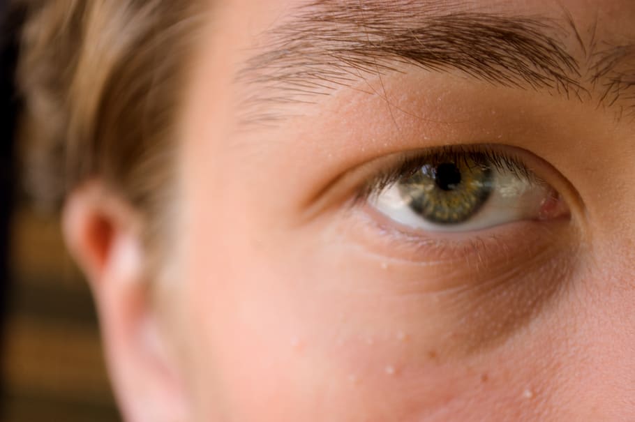 georgia, human body part, eye, human eye, close-up, one person HD wallpaper