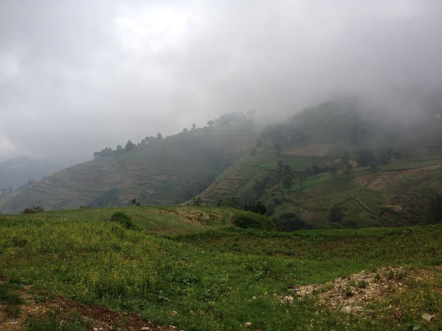 mountain covered with fog, environment, landscape, tranquil scene HD wallpaper