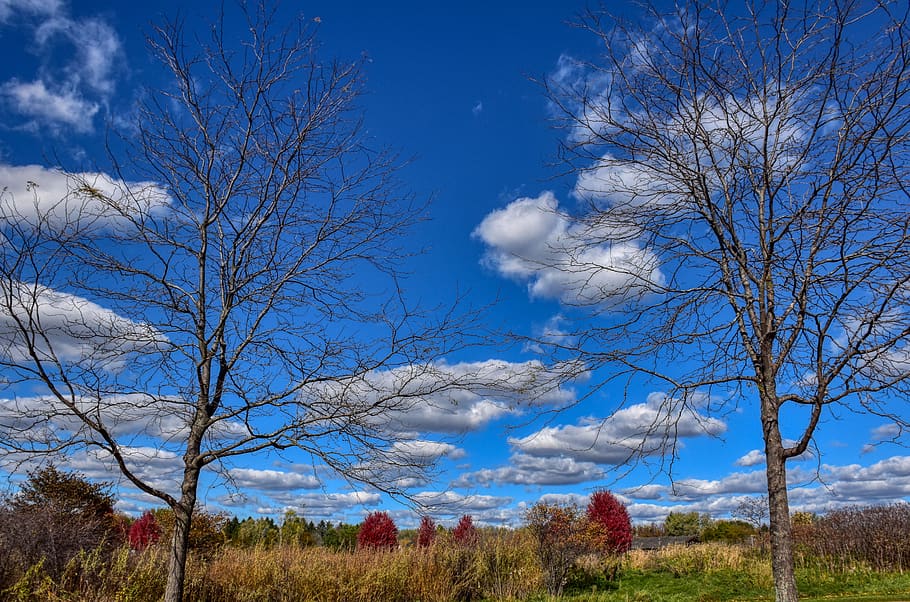 landscape, fall, prairie, nature, field, grass, autumn, sky HD wallpaper