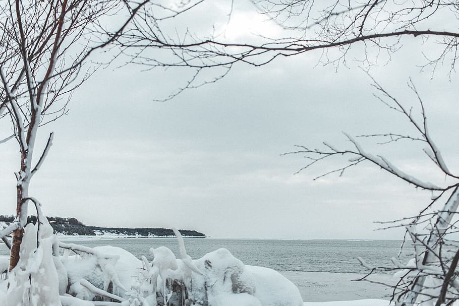 canada, goderich, ice, trees, froze, winter, water, lake, ocean HD wallpaper