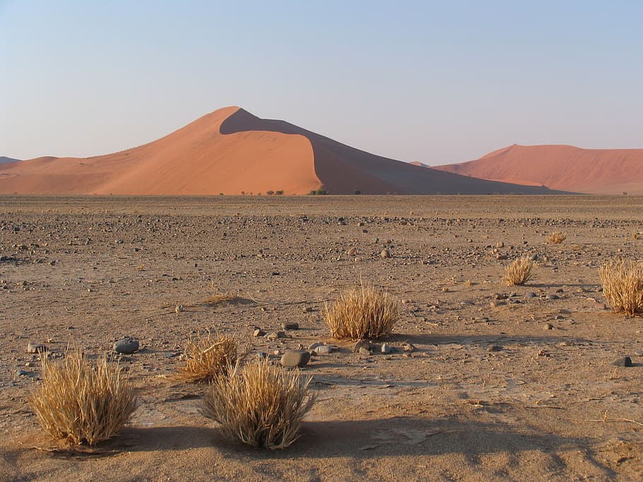 namibia, dune 45, africa, sand, desert, nature, red, sand dune, HD wallpaper