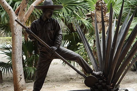 tulum, mexico, statue, maya, yucatan, travel, mexican, plant HD wallpaper