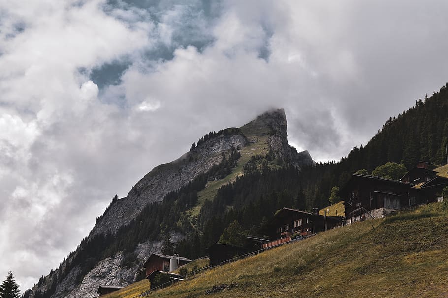house on mountain, grass, tree, switzerland, nature, wallpaper HD wallpaper