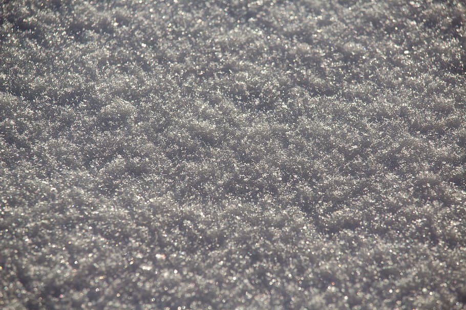 snow, cold, winter, fresh, snowfall, nature, full frame, backgrounds HD wallpaper