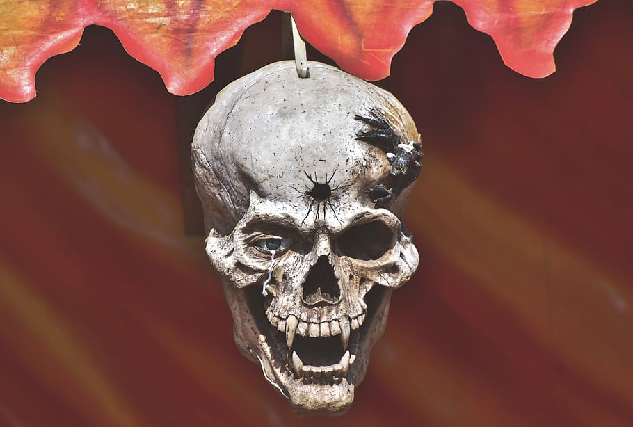 skull, skull and crossbones, creepy, gloomy, skeleton, mystical, HD wallpaper